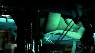Hentai 3D Icarus has some wild and unrestricted action