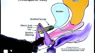 Squirting Tutorial 2 by Mr PussyLicking, where he shares his secrets on how to achieve the ultimate female orgasm