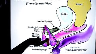 How to squirt? The best tutorial is here!