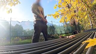 Public flasher gets tits fucked by horny MILF in the park