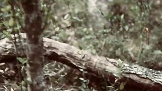 Lea's Wild Weekends1 - hardcore amateur threesome action