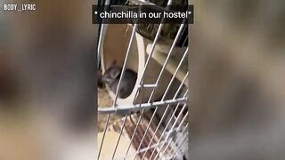 A short time ago, we posted a video about a capsule hostel