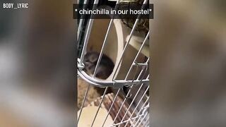 A short time ago, we posted a video about a capsule hostel
