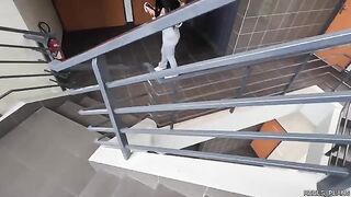 Chilean model fucked hard in elevator and toilet by agents