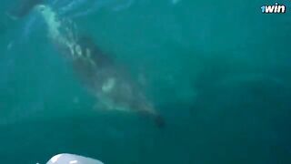 A couple enjoys romantic sex on the boat under the tree on the island