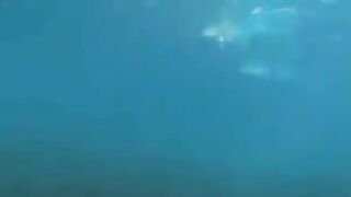 An aqualangist is fucking at the bottom of the sea