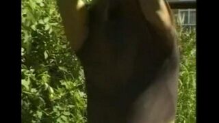 A guy masturbating his big cock in the hayloft, it was awesome