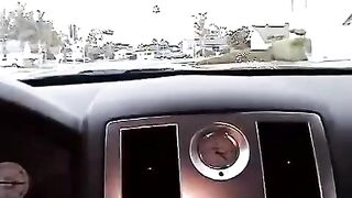 Nikki made a blowjob right in the car, it was risky