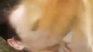 A young floozie was fucking outdoors and got her pussy sucked