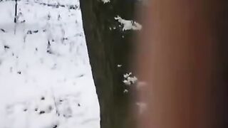 A couple tried to freeze time, but the girl got excited and things got steamy