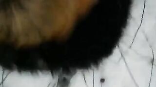 Winter blowjob on the street with a cute girl and good cum shot - POV