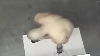 A spy camera has captured a naked man in the shower