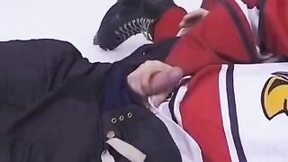 A fan gave the hockey player anal sex during the break