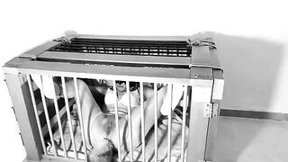 A day in a life of a Kitten: Ep.1 - Squirting on her tail, a spicy homemade scene