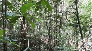 Fresh air and her warm lips on my cock - an outdoor adventure ends in passion