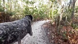 The guy saves the girl from the wild nature in thong