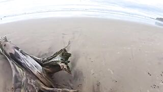 The beach is always damp — from the water and because of their skills